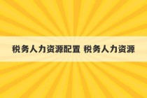 税务人力资源配置 税务人力资源