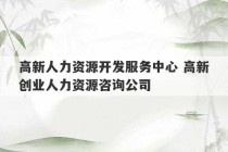 高新人力资源开发服务中心 高新创业人力资源咨询公司