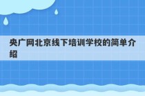 央广网北京线下培训学校的简单介绍