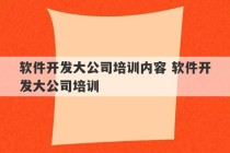 软件开发大公司培训内容 软件开发大公司培训