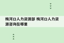 梅河口人力资源部 梅河口人力资源咨询在哪里