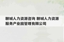 聊城人力资源咨询 聊城人力资源服务产业园管理有限公司