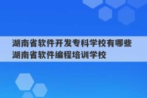 湖南省软件开发专科学校有哪些 湖南省软件编程培训学校