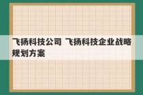 飞扬科技公司 飞扬科技企业战略规划方案