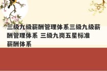 三级九级薪酬管理体系三级九级薪酬管理体系 三级九岗五星标准 薪酬体系