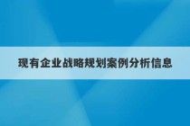 现有企业战略规划案例分析信息