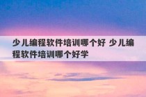 少儿编程软件培训哪个好 少儿编程软件培训哪个好学