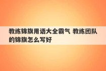 教练锦旗用语大全霸气 教练团队的锦旗怎么写好