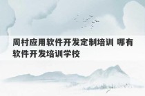 周村应用软件开发定制培训 哪有软件开发培训学校