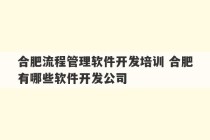 合肥流程管理软件开发培训 合肥有哪些软件开发公司