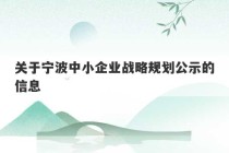 关于宁波中小企业战略规划公示的信息