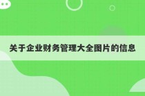 关于企业财务管理大全图片的信息