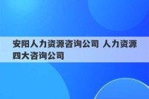 安阳人力资源咨询公司 人力资源四大咨询公司