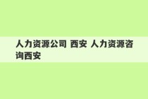 人力资源公司 西安 人力资源咨询西安