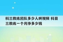 科三教练团队多少人啊视频 科目三教练一个月挣多少钱