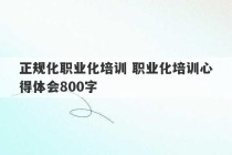 正规化职业化培训 职业化培训心得体会800字