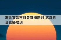 湖北宜昌市抖音直播培训 武汉抖音直播培训