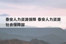 泰安人力资源保障 泰安人力资源社会保障部