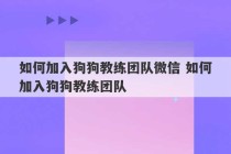 如何加入狗狗教练团队微信 如何加入狗狗教练团队