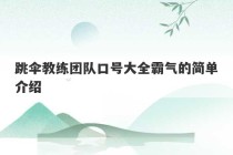 跳伞教练团队口号大全霸气的简单介绍