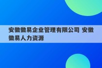 安徽徽易企业管理有限公司 安徽徽易人力资源