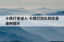 小鹰打普通人 小鹰打团队教练是谁啊图片