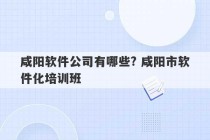 咸阳软件公司有哪些? 咸阳市软件化培训班