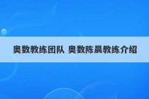 奥数教练团队 奥数陈晨教练介绍