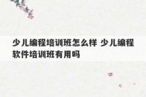 少儿编程培训班怎么样 少儿编程软件培训班有用吗