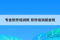 专业软件培训班 软件培训就业班