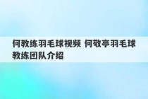 何教练羽毛球视频 何敬亭羽毛球教练团队介绍