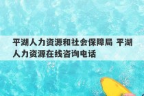 平湖人力资源和社会保障局 平湖人力资源在线咨询电话