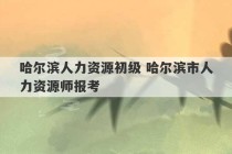 哈尔滨人力资源初级 哈尔滨市人力资源师报考