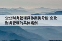 企业财务管理具体案例分析 企业财务管理的具体案例