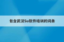 包含武汉Su软件培训的词条