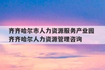 齐齐哈尔市人力资源服务产业园 齐齐哈尔人力资源管理咨询