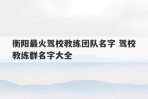 衡阳最火驾校教练团队名字 驾校教练群名字大全