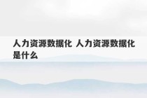 人力资源数据化 人力资源数据化是什么