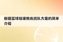 新疆篮球组建教练团队方案的简单介绍