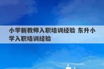 小学新教师入职培训经验 东升小学入职培训经验