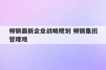 柳钢最新企业战略规划 柳钢集团管理观