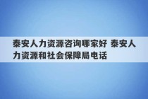 泰安人力资源咨询哪家好 泰安人力资源和社会保障局电话