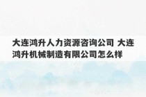 大连鸿升人力资源咨询公司 大连鸿升机械制造有限公司怎么样