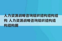 人力资源战略咨询组织结构结构结构 人力资源战略咨询组织结构结构结构图