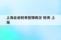 上海企业财务管理概况 财务 上海