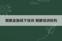 鲲鹏金融线下培训 鲲鹏培训机构