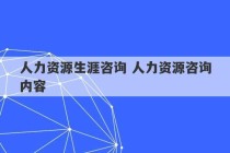 人力资源生涯咨询 人力资源咨询内容