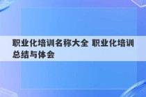 职业化培训名称大全 职业化培训总结与体会