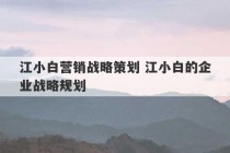 江小白营销战略策划 江小白的企业战略规划