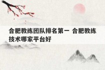 合肥教练团队排名第一 合肥教练技术哪家平台好